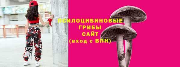прущий лед Надым
